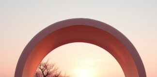 Synchronicités et individuation : avec Carole Sédillot