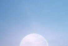 La synchronicité selon Jung : quand les coïncidences deviennent des signes