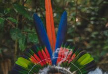 Synchronicités et Chamanisme : quand les signes du monde invisible nous guident