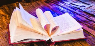 Anna ou le livre boomerang